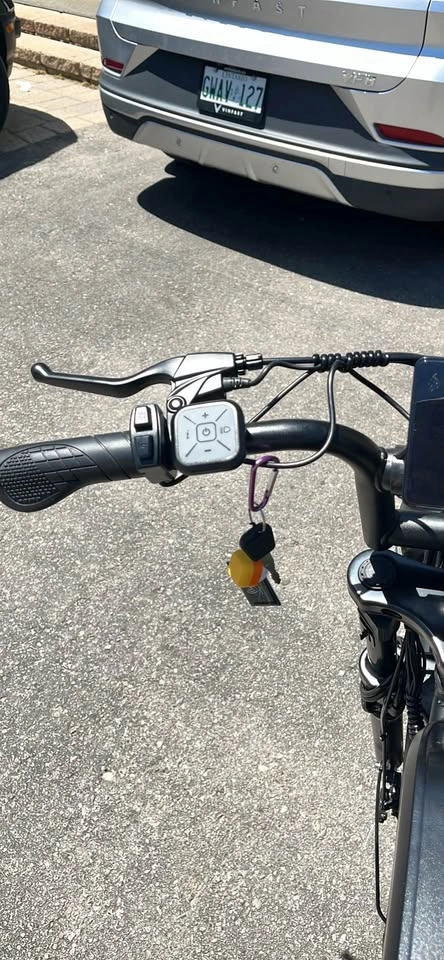 F30 Electric Bike - photo 3