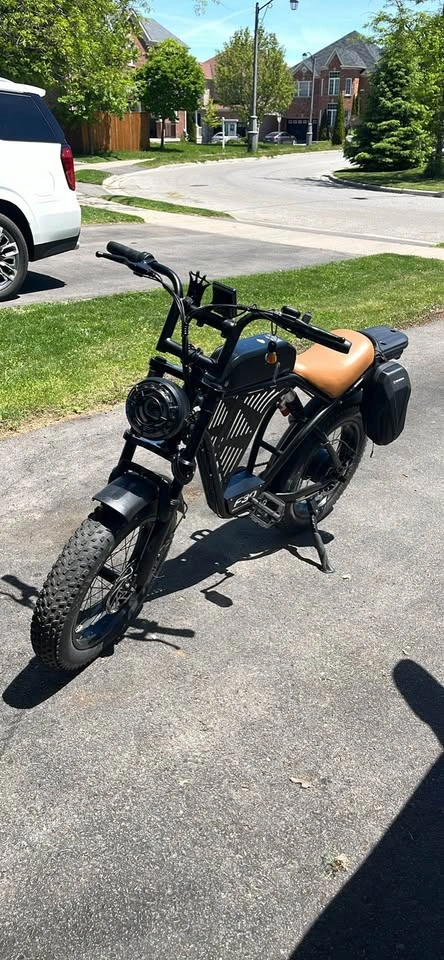 F30 Electric Bike - photo 5