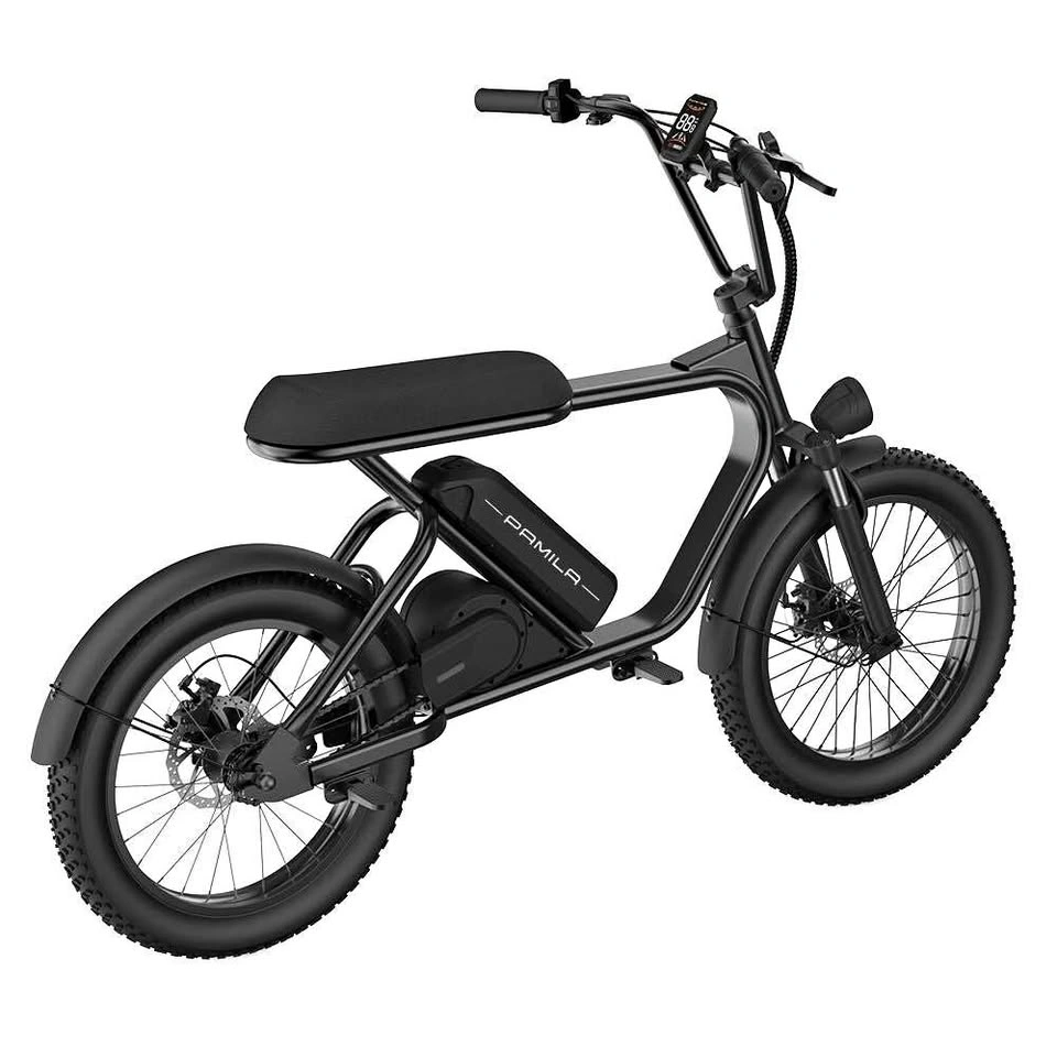Pamila E3 1000W Mid-Drive E-Bike with 48V 15.6Ah Battery