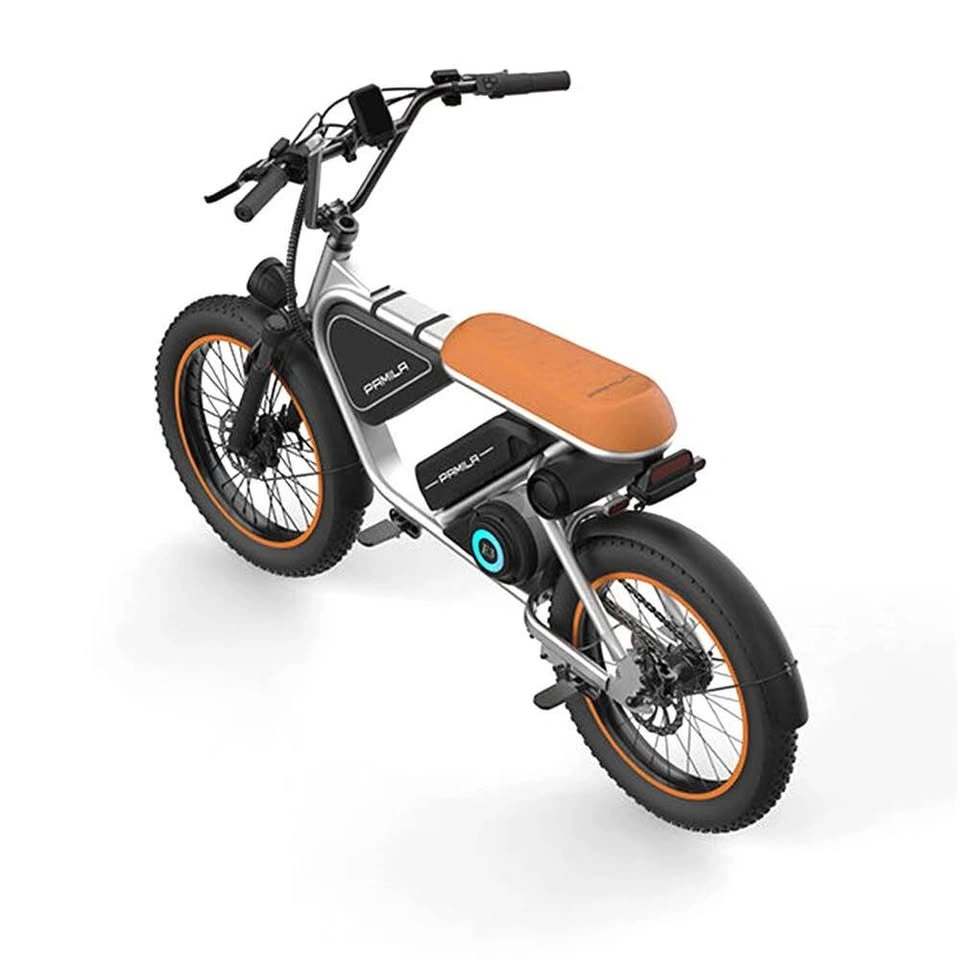 Pamila E3 1000W Mid-Drive E-Bike with 48V 15.6Ah Battery - photo 2