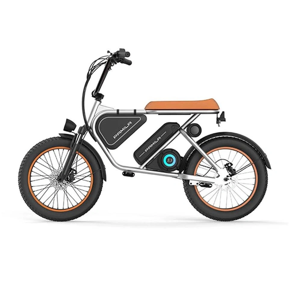 Pamila E3 1000W Mid-Drive E-Bike with 48V 15.6Ah Battery - photo 3