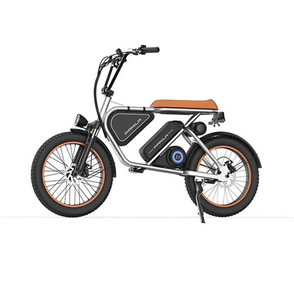 Pamila E3 1000W Mid-Drive E-Bike with 48V 15.6Ah Battery - photo 4
