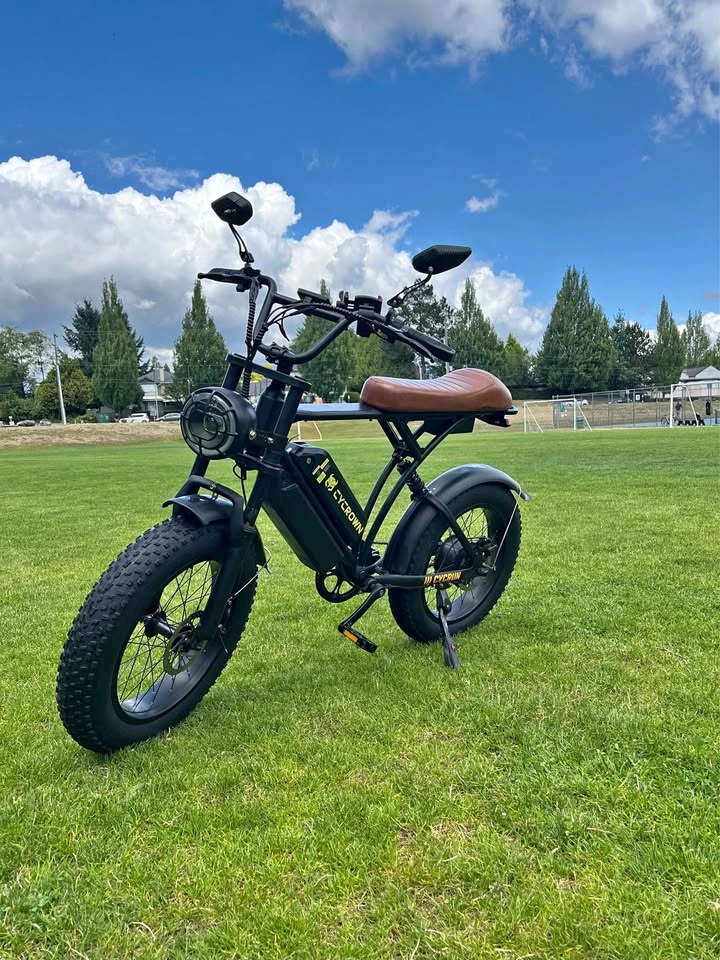 E-Dirt bike (Priced to sell quick!!)
