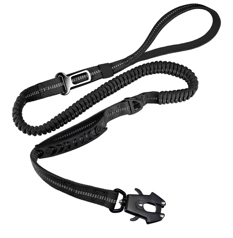 Heavy Duty Bungee Dog Leash with Frog Clip