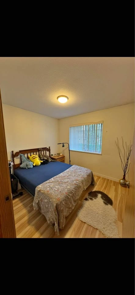 Queen Solid Wood Bed Frame + Box Spring + Mattress