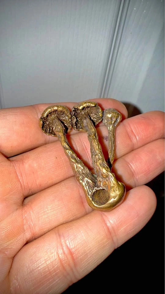 Bronze mushroom pendant