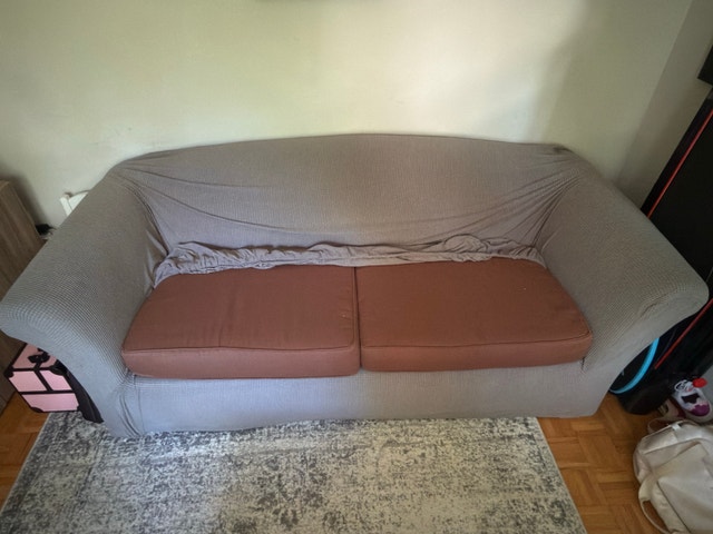Sleeper Sofa with Pull Out Mattress - photo 2