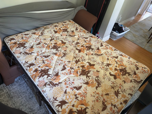 Sleeper Sofa with Pull Out Mattress - photo 3