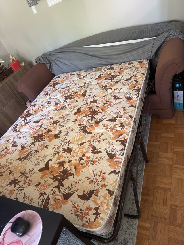 Sleeper Sofa with Pull Out Mattress - photo 4