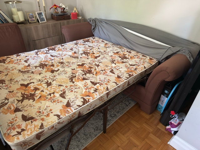 Sleeper Sofa with Pull Out Mattress - photo 5