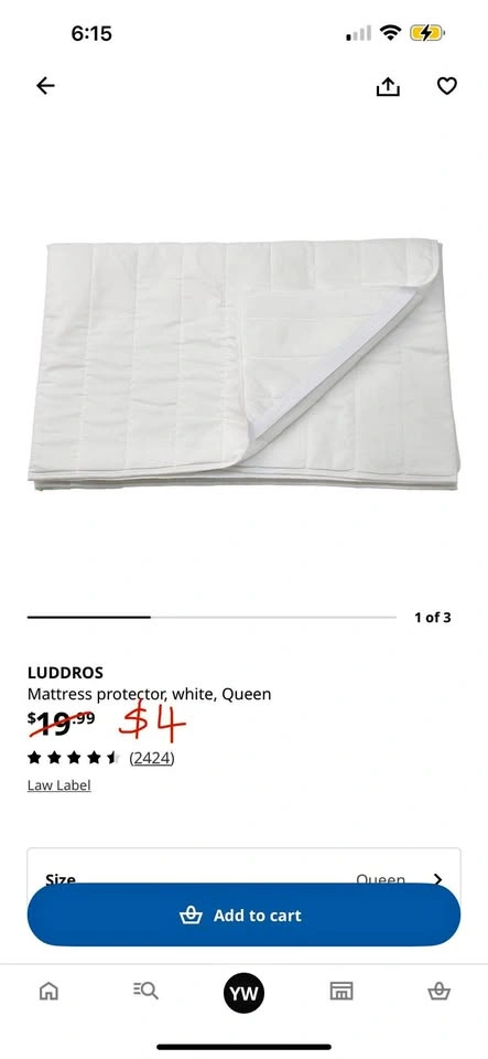 Ikea Mattress Protector (Queen)