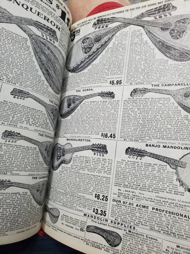 1908 Sears Catalog - photo 4