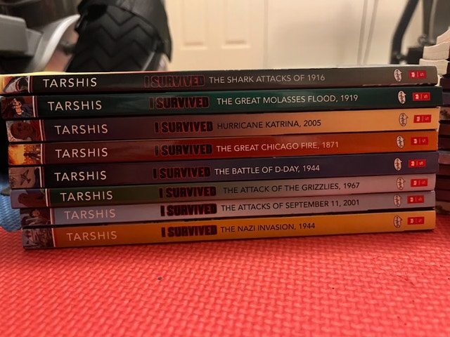 I Survived Book Series (Graphic Novels and Chapter Books) - photo 2