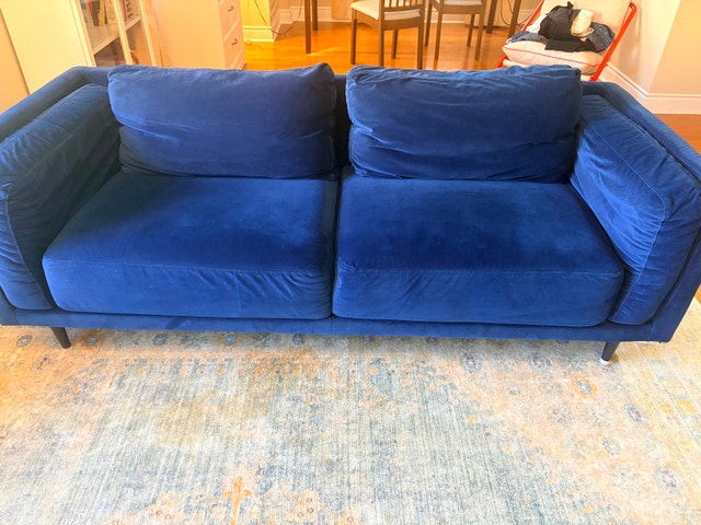 Living Room Sofa/ Coach