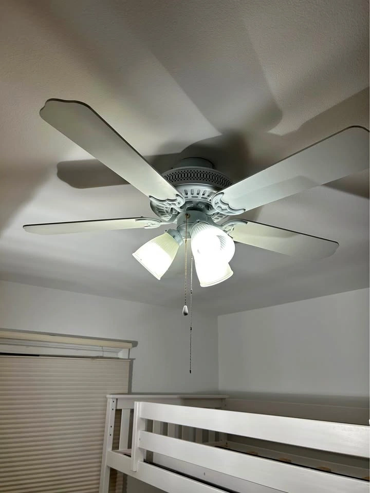 Ceiling fan