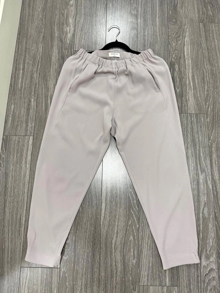 Aritzia Babaton Dexter Pants