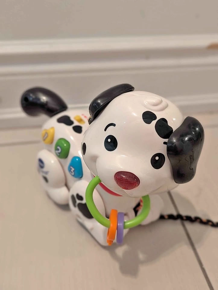 VTech Pull & Sing Puppy