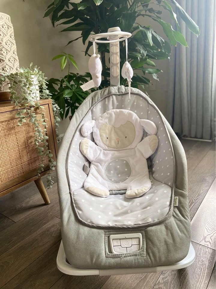 Ingenuity rocking seat