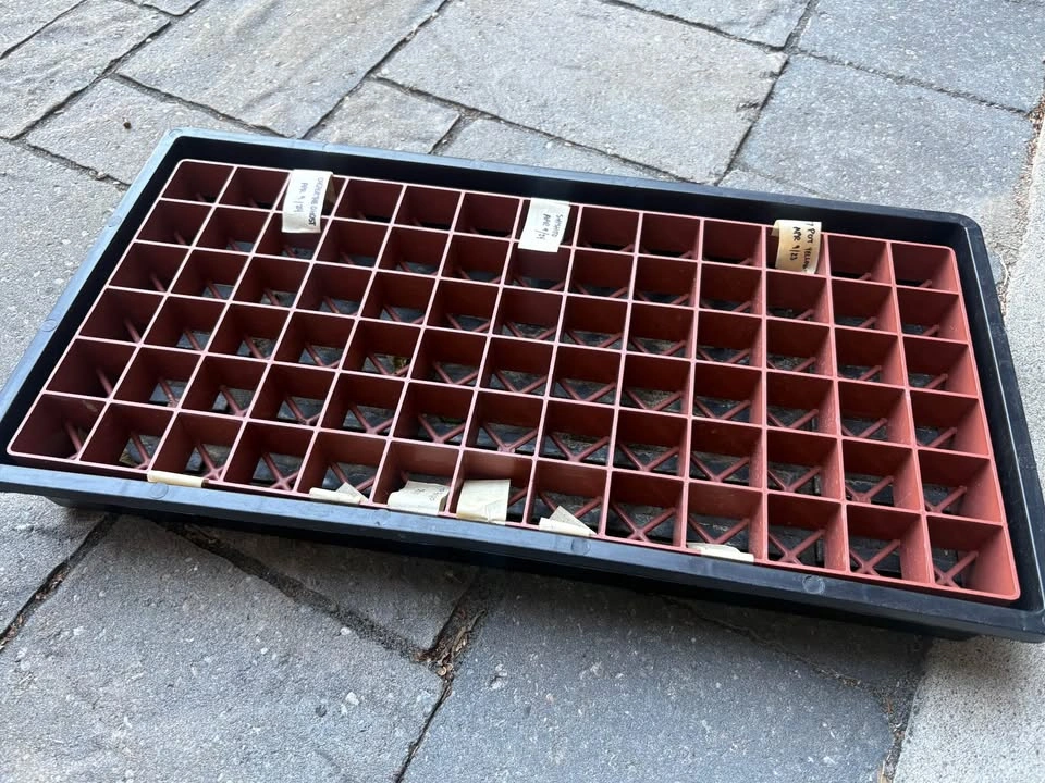 Propagation Tray with Humidity Dome for Seed Starting - photo 2
