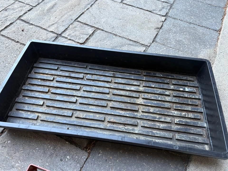 Propagation Tray with Humidity Dome for Seed Starting - photo 3