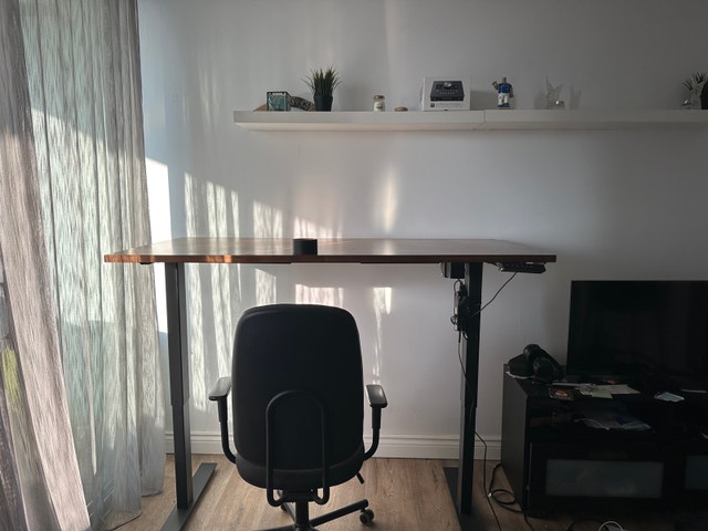 Standing Desk L= 60" , W=30" AnthroDesk - photo 2