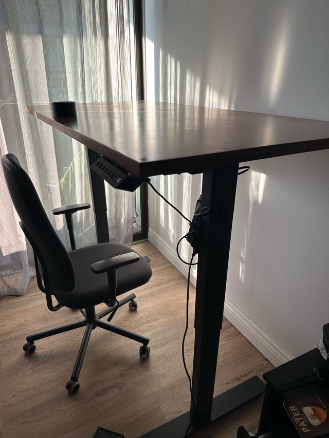 Standing Desk L= 60" , W=30" AnthroDesk - photo 3