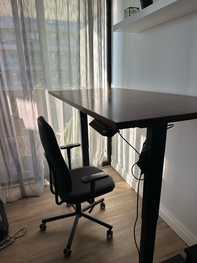 Standing Desk L= 60" , W=30" AnthroDesk - photo 5