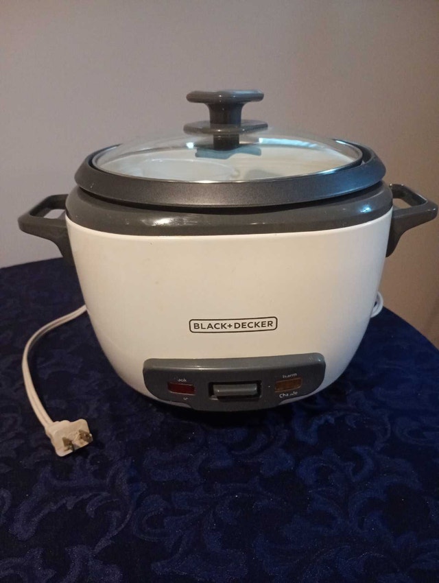 10-cup rice cooker