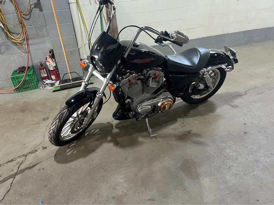 2006 Harley-Davidson Sportster 883 - photo 3