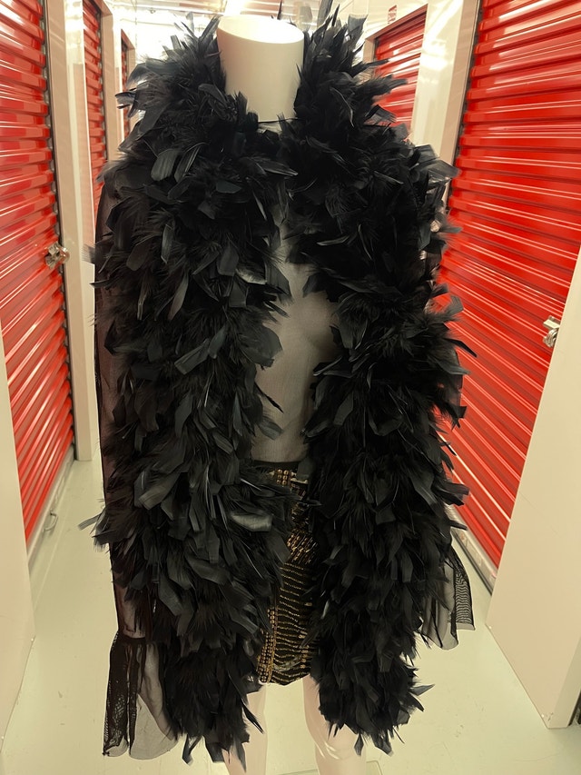 Theatrical Black Feather Boa with Dramatic Volume - photo 2