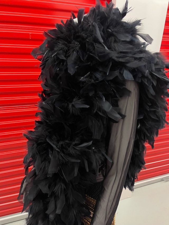 Theatrical Black Feather Boa with Dramatic Volume - photo 4