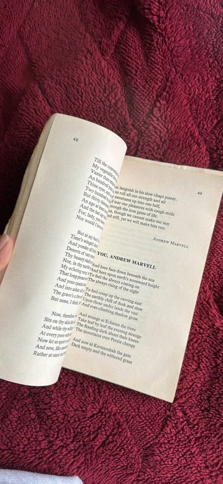 Theme & Image: An Anthology of Poetry (Book 2) – Carol Gillander - photo 2