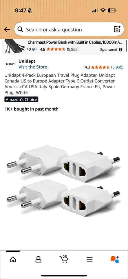 European Travel Plug Adapter 4-Pack