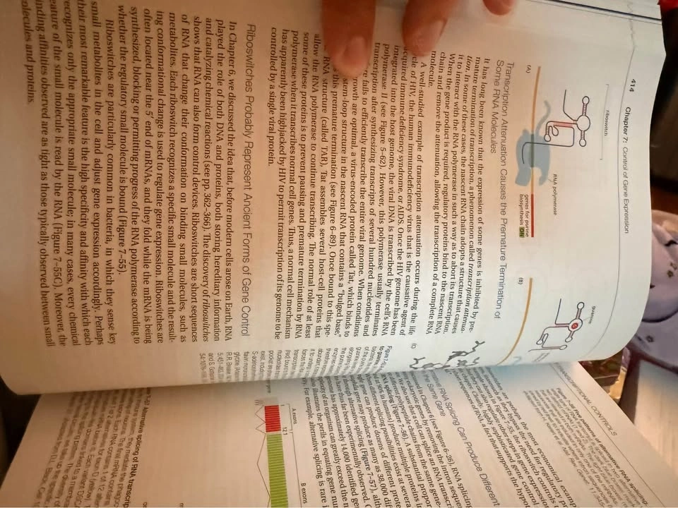 Molecular Biology of the Cell 6th Ed. - photo 3