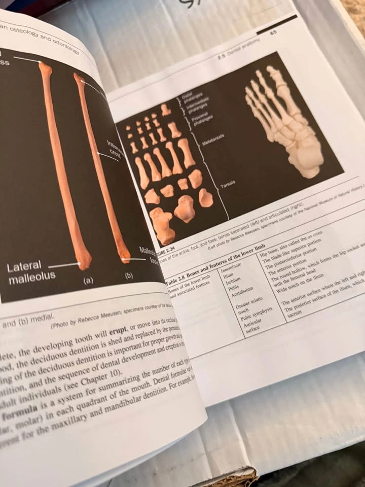 Forensic Anthropology 2nd Ed. Textbook - photo 3