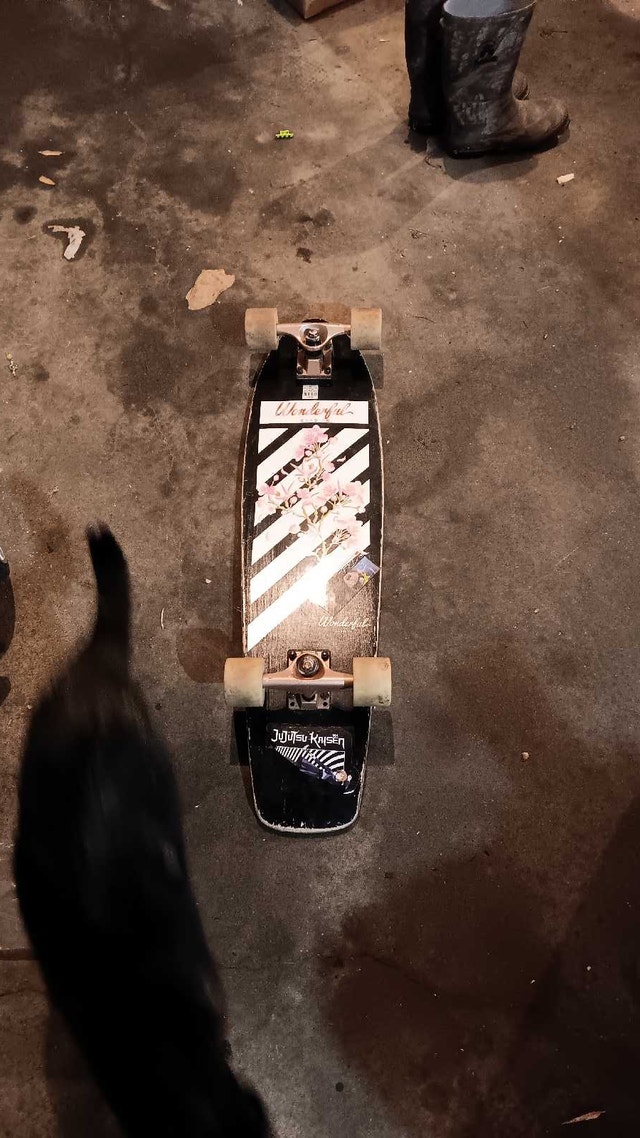 skateboard - photo 2