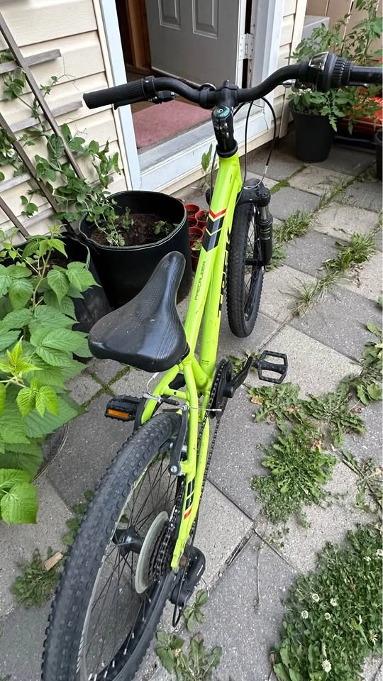 Trek Bicycle - photo 4