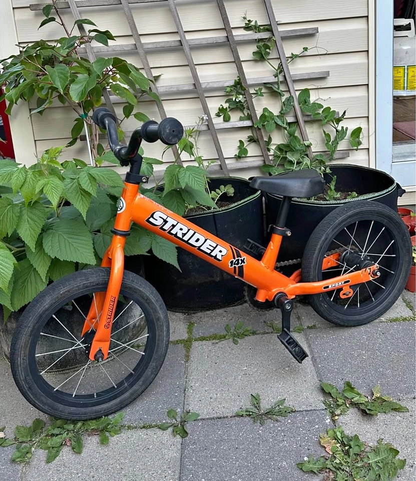 Strider Bike