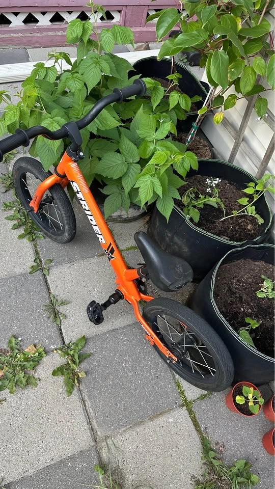 Strider Bike - photo 2