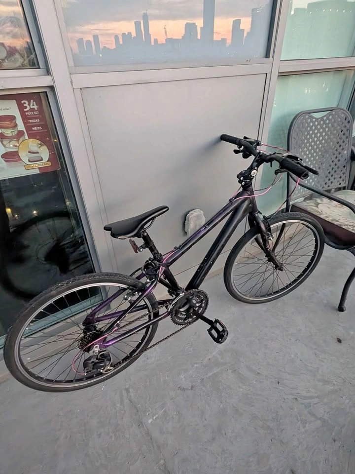 Youth mountain bike