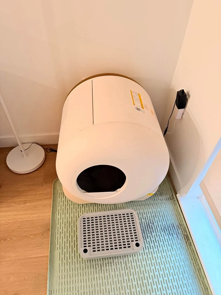 Self cleaning litter box