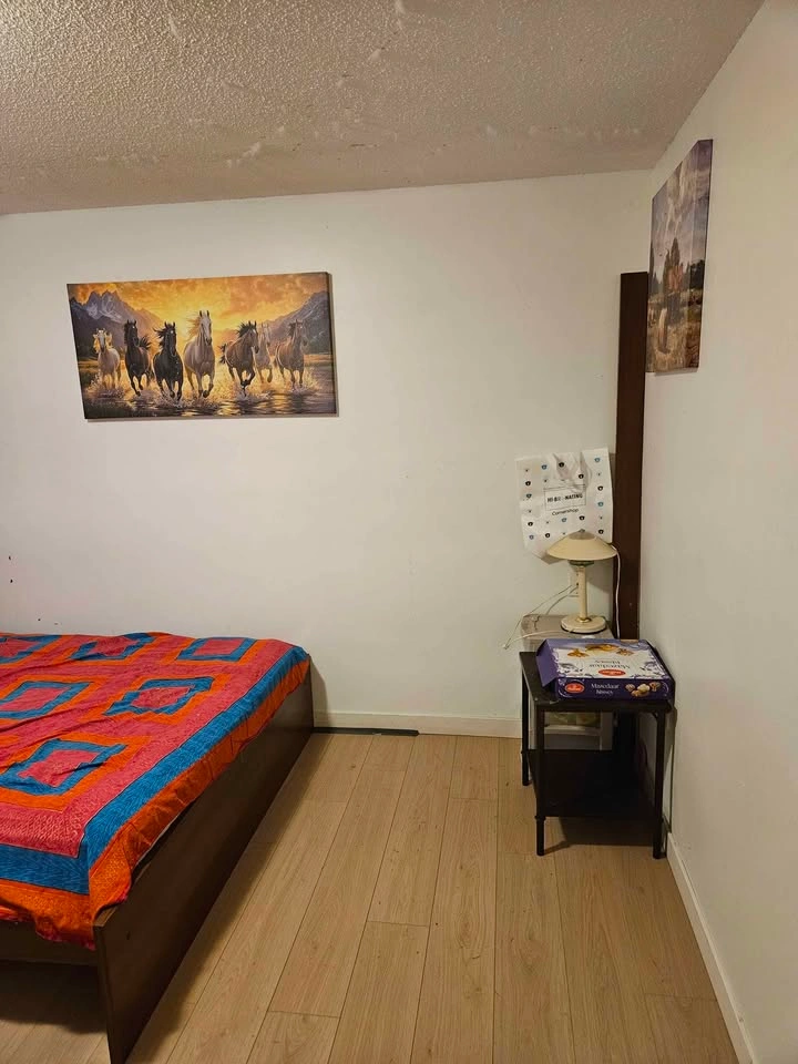 Private room for rent - photo 2