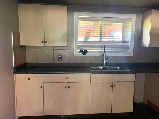 Kitchen cabinets and counters - photo 4