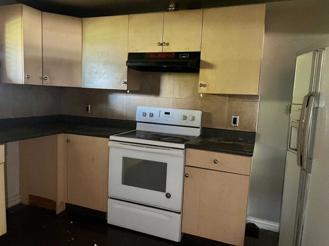 Kitchen cabinets and counters - photo 5