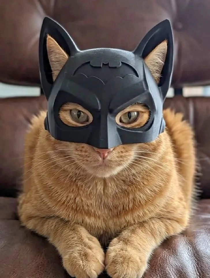Batman Cat Mask