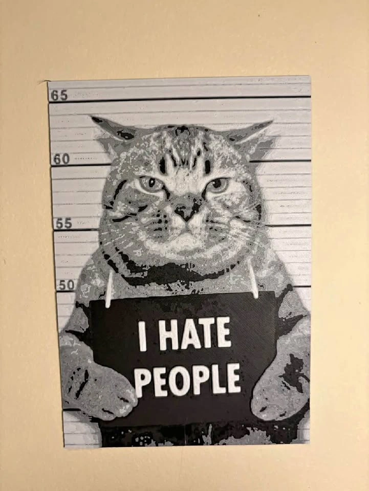 Cat Mugshot Wall Art