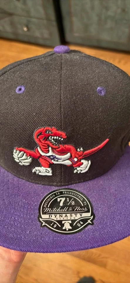 Toronto raptors hat