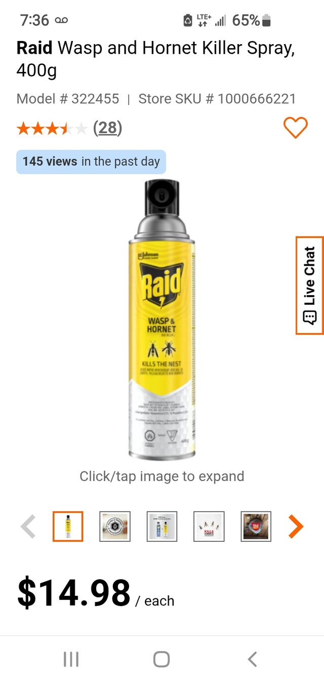 Raid wasp spray