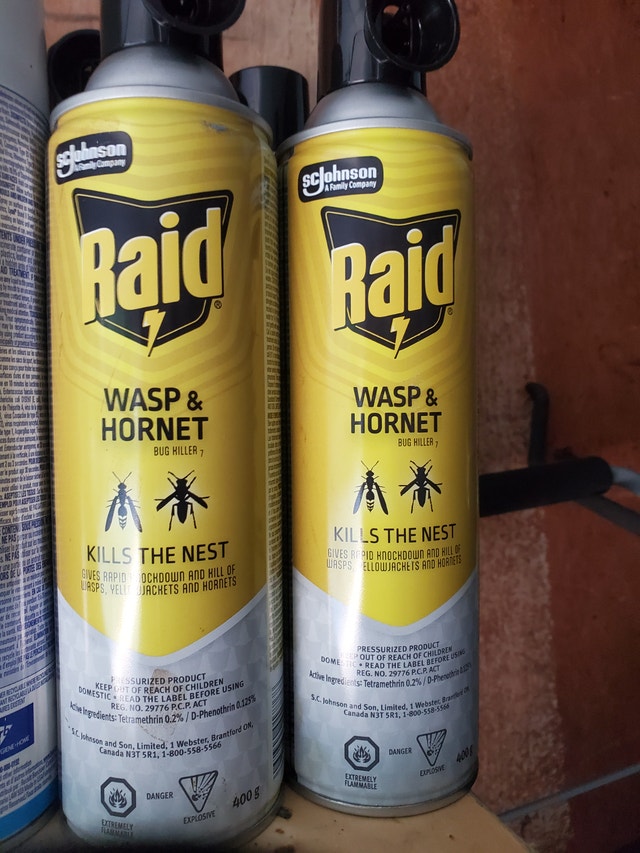 Raid wasp spray - photo 2