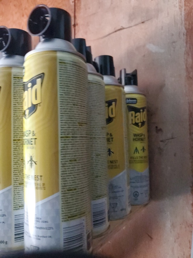 Raid wasp spray - photo 3
